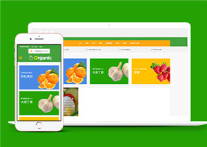 适合水果蔬菜销售商城HTML5网站模板