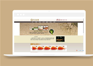 简洁健康保健品官网模板下载