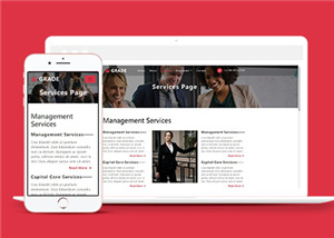 企业服务动态响应式网站模板下载