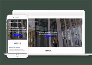 简洁数字营销类公司网站模板
